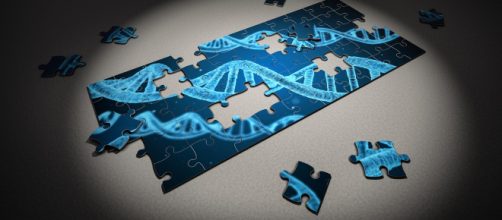 Pop human per le ricerche sul genoma umano