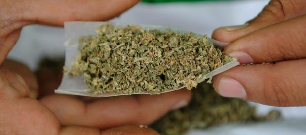 El genió publicó un post sobre la marihuana El genió publicó un post sobre la marihuana