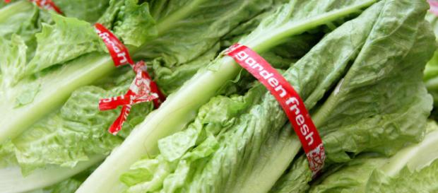 Officials issue warning about eating romaine lettuce amid E. coli ... - cbsnews.com Officials issue warning about eating romaine lettuce amid E. coli ... - cbsnews.com