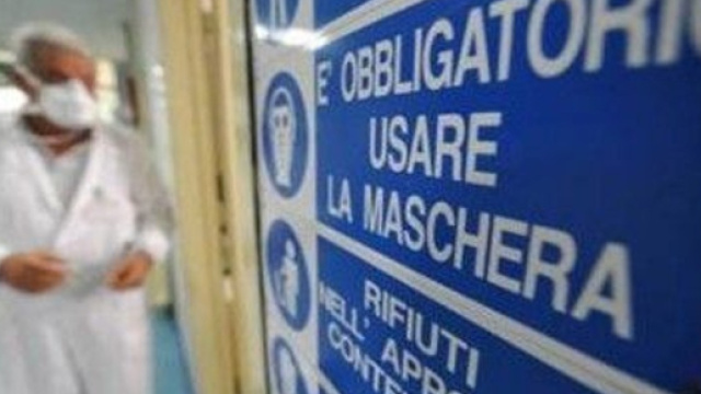 Influenza suina: ecco i sintomi e come avviene il contagio