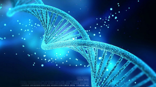 Sette cose che potremo fare con Crispr - Wired - wired.it