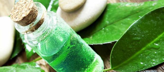 Aceite Esencial de Árbol de Té - Melaleuca - Unisima - unisima.com Aceite Esencial de Árbol de Té - Melaleuca - Unisima - unisima.com