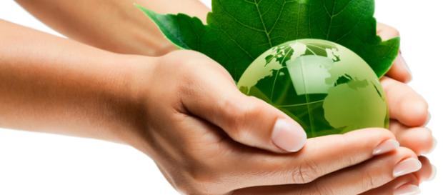 Apostar por un mundo verde es la principal alternativa. Apostar por un mundo verde es la principal alternativa.