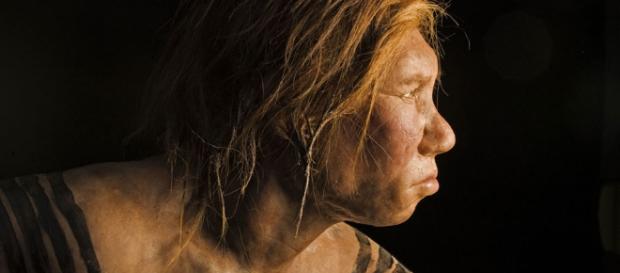 Hace aproximadamente 65,000 años, un gran carnívoro, tal vez una hiena de cueva, mordió la cara de un (probablemente muerto) Neanderthal. Hace aproximadamente 65,000 años, un gran carnívoro, tal vez una hiena de cueva, mordió la cara de un (probablemente muerto) Neanderthal.
