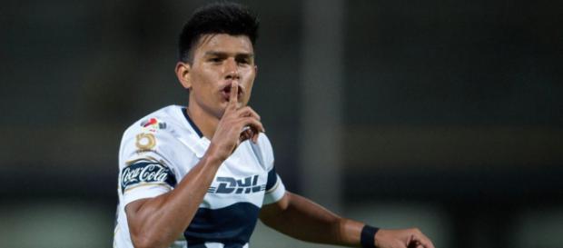 Los Pumas derrotaron al campeón. Los Pumas derrotaron al campeón.