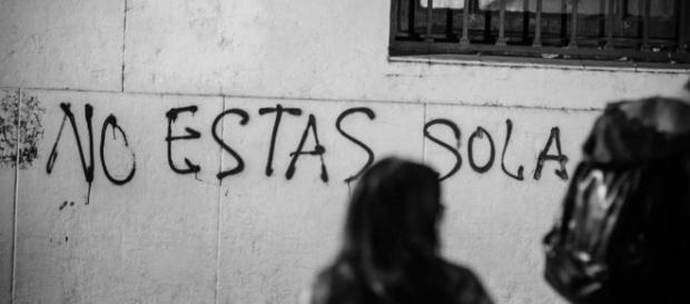 lobosuel – Lobo Suelto! - lobosuelto.com lobosuel – Lobo Suelto! - lobosuelto.com
