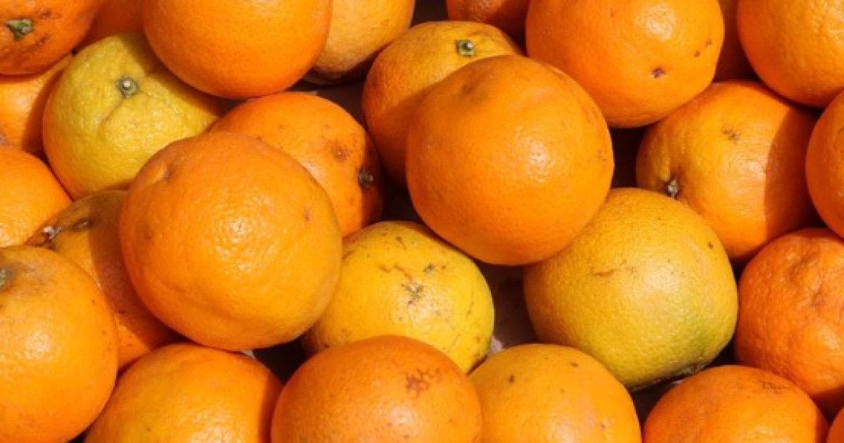 Benefits of drinking orange juice on a daily basis