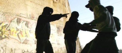 Primati e baby gang a Napoli e provincia