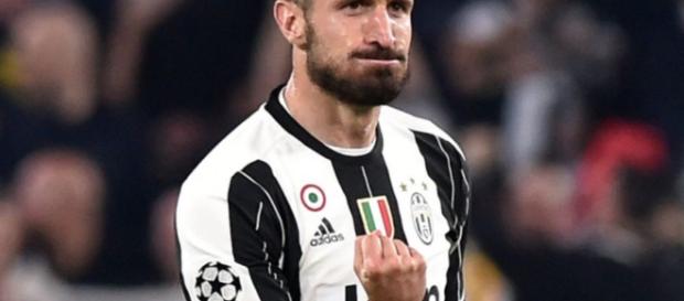 Antonio Conte Rules Out Chelsea Signing Giorgio Chiellini - talkingbaws.com Antonio Conte Rules Out Chelsea Signing Giorgio Chiellini - talkingbaws.com