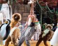 El musical de ‘Madagascar’ aterriza en Madrid