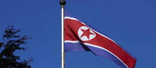 Koreas to march under unified flag at Winter Olympics | (Image via Zee News)