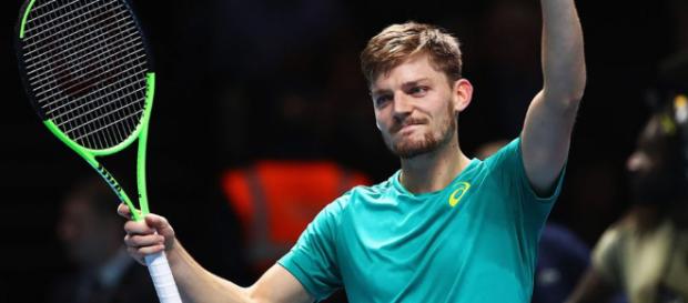 David Goffin: Belgian brilliance - Hopman Cup - hopmancup.com David Goffin: Belgian brilliance - Hopman Cup - hopmancup.com