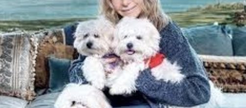 Barbra Streisand hizo clonar a su amada mascota, Samantha - dailymail.co.uk
