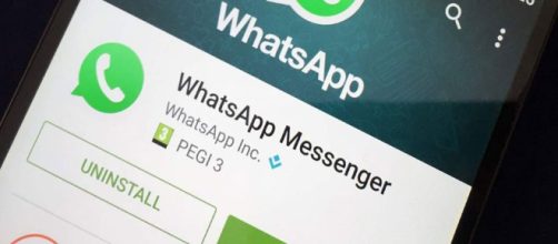 WhatsApp, una nuova truffa gira sulla nota app