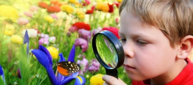 Dimostrata la correlazione tra natura e sviluppo intellettivo - FamilyEducation Dimostrata la correlazione tra natura e sviluppo intellettivo - FamilyEducation