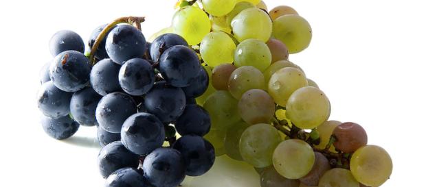 Mini uvas frescas para Nochevieja - Punto Fape - puntofape.com Mini uvas frescas para Nochevieja - Punto Fape - puntofape.com