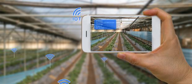 ¿Por qué el Big Data aún no ha hecho mella en el campo?. ¿Por qué el Big Data aún no ha hecho mella en el campo?.