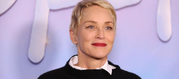 Sharon Stone toma una embarazosa caída Sharon Stone toma una embarazosa caída