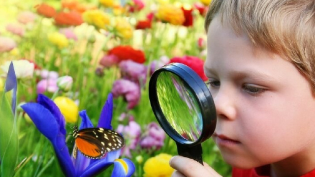 Dimostrata la correlazione tra natura e sviluppo intellettivo - FamilyEducation