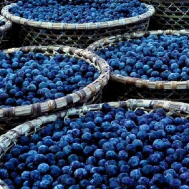 Acai Berry | Propiedades, beneficios y peligros - ViviendoSanos.com - viviendosanos.com