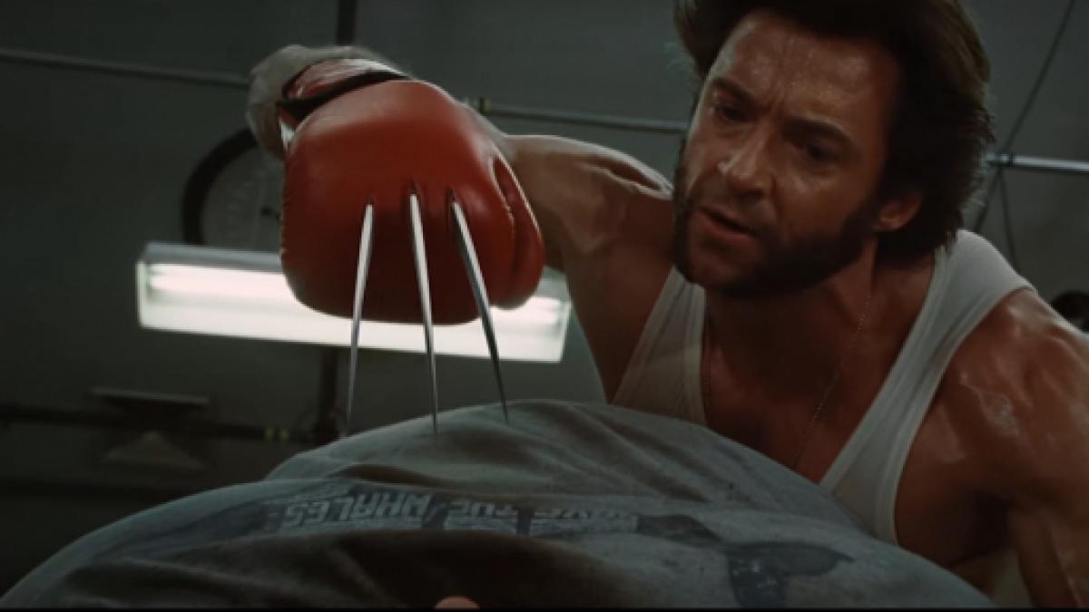 wolverine boxing gloves