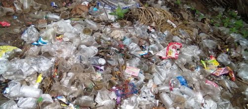 Types of plastic waste (Image credit – Venkat2336, Wikimedia Commons)