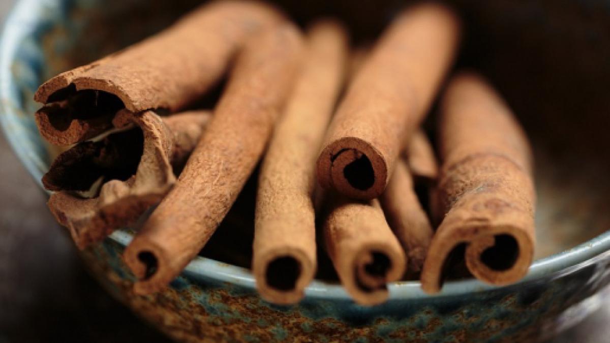 Dias canela beneficios todos tomar de os