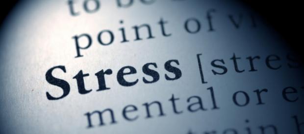 Deshalb solltest du Stress vermeiden. - flux-fit.com Deshalb solltest du Stress vermeiden. - flux-fit.com