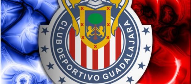 Las Chivas trataran de fichar jugadores de experiencia Las Chivas trataran de fichar jugadores de experiencia