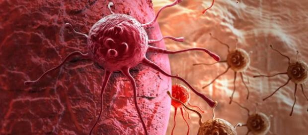 Confederación Farmacéutica Argentina – Nuevas ideas sobre por qué ... - org.ar Confederación Farmacéutica Argentina – Nuevas ideas sobre por qué ... - org.ar