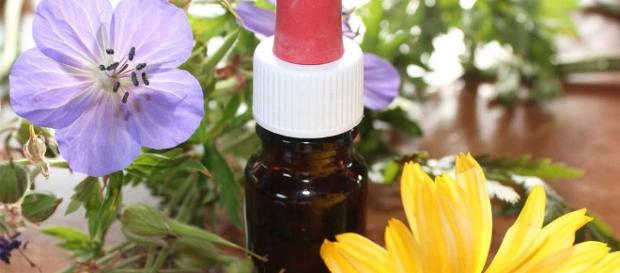 Cancro alla mammella curato da un naturopata: muore a 46 anni Cancro alla mammella curato da un naturopata: muore a 46 anni