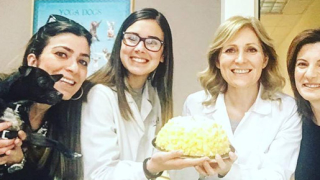 Lo staff del Laboratorio di analisi veterinarie Merlato di Siracusa