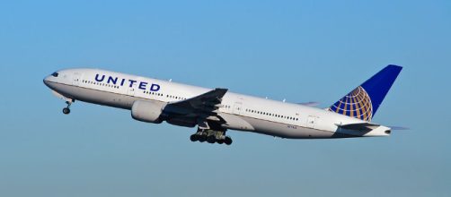 Cane costretto a viaggiare su una cappelliera: muore nel volo di United Airlines