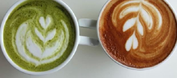 Bebí té matcha en vez de café durante una semana y esto es lo que ... - womenshealth.es Bebí té matcha en vez de café durante una semana y esto es lo que ... - womenshealth.es