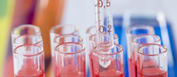 Lupus eritematoso Archivos - Biotech Magazine - biotechmagazine.es Lupus eritematoso Archivos - Biotech Magazine - biotechmagazine.es