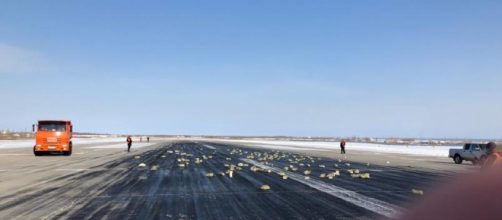 I lingotti d'oro ritrovati sulla pista di Yakutsk
