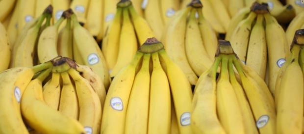 Die Bananensorte Cavendish. Beliebt aber Bedroht - CNN - cnn.com Die Bananensorte Cavendish. Beliebt aber Bedroht - CNN - cnn.com