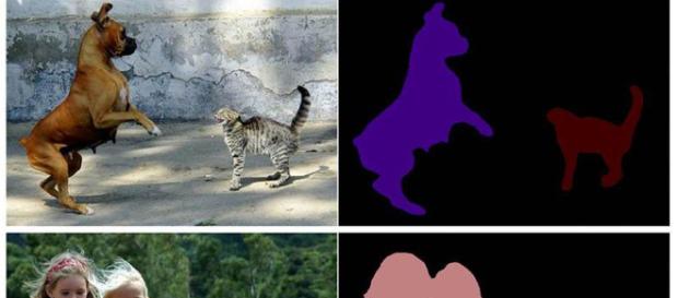 Imágenes de muestra de Flickr procesadas con DeepLab-v3 de Google +. Imágenes de muestra de Flickr procesadas con DeepLab-v3 de Google +.