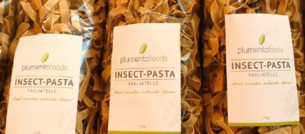 Ahora la pasta esta hecha con harina a base de gusanos. Ahora la pasta esta hecha con harina a base de gusanos.