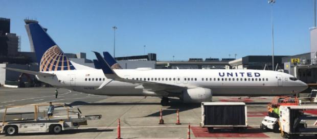 Un perro murió en pleno vuelo porque lo hicieron viajar con el ... - minutouno.com Un perro murió en pleno vuelo porque lo hicieron viajar con el ... - minutouno.com