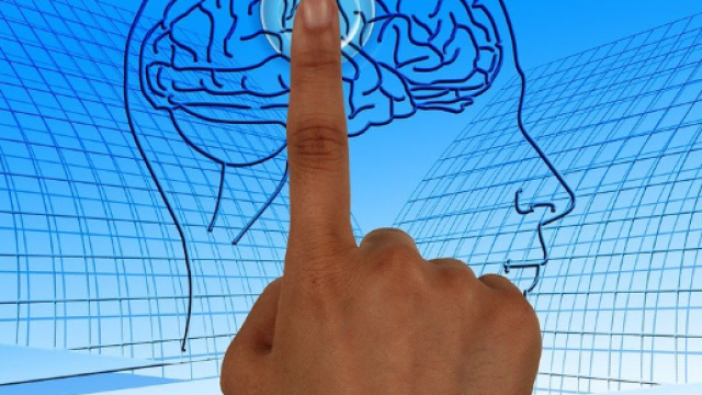 Nectcome, arriva la startup che si impegna a conservare il nostro cervello