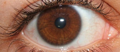 Entenda o motivo dos olhos castanhos serem considerados especiais