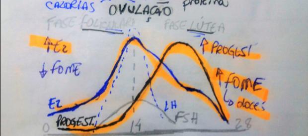 Ciclo menstrual e a produção de hormônios Ciclo menstrual e a produção de hormônios