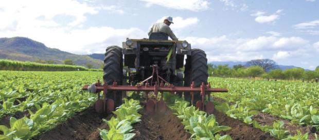 La nueva agricultura para Nueva Zelanda La nueva agricultura para Nueva Zelanda