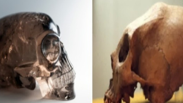 Quale verità nascondono i teschi allungati?