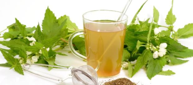 El jugo de abedul tiene muchos nutrientes. El jugo de abedul tiene muchos nutrientes.