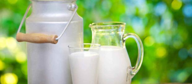 La leche es un alimento vital para el crecimiento humano. - organizados.es La leche es un alimento vital para el crecimiento humano. - organizados.es