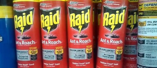 5 kinds of Raid bug killer-Ian Torres YouTube Caption