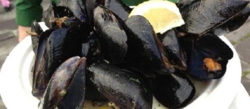 Cozze contaminate: allarme per la presennza di batteri fecali in quelle importate dalla Spagna.