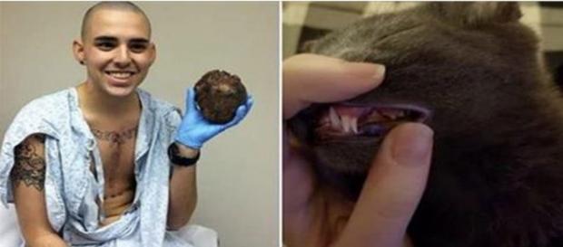 10 Fotos que todos deveriam ver 10 Fotos que todos deveriam ver